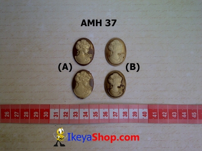 AMH 37  large2